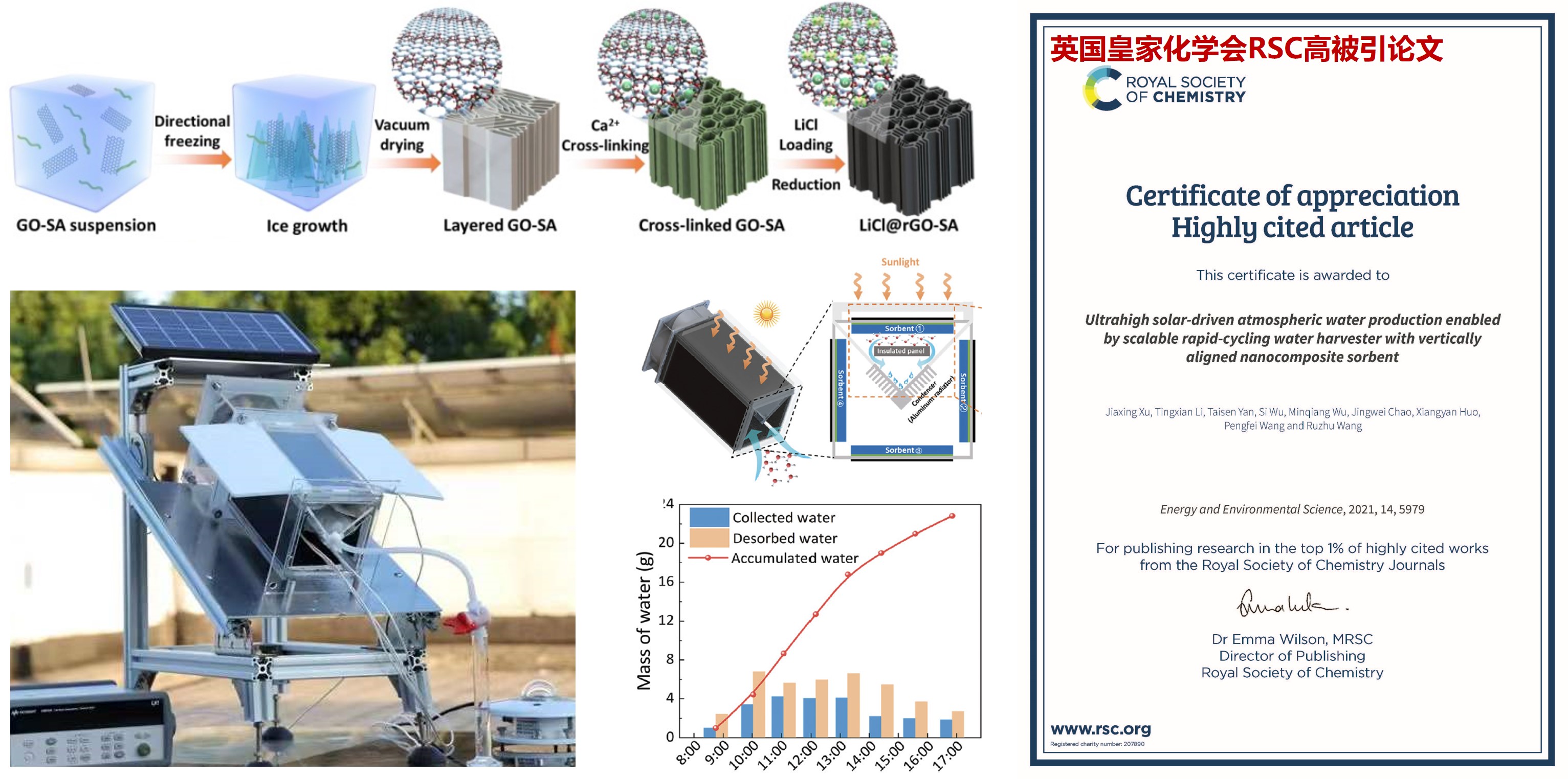 1737253783927982.jpg 1737253783927982.jpg