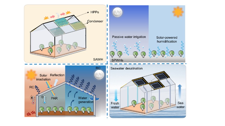 1740997778518049.jpg 图片2.jpg