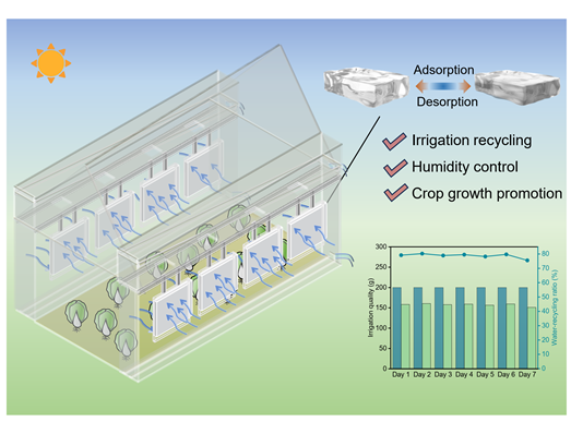 1741225194159971.png 王如竹030602.png