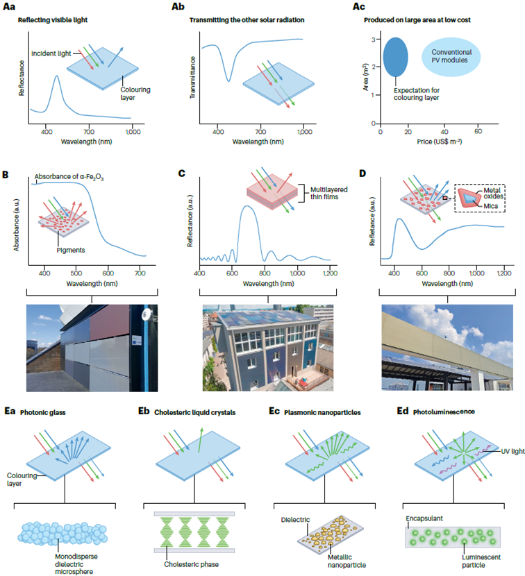 1741602544413628.png 图片9.png