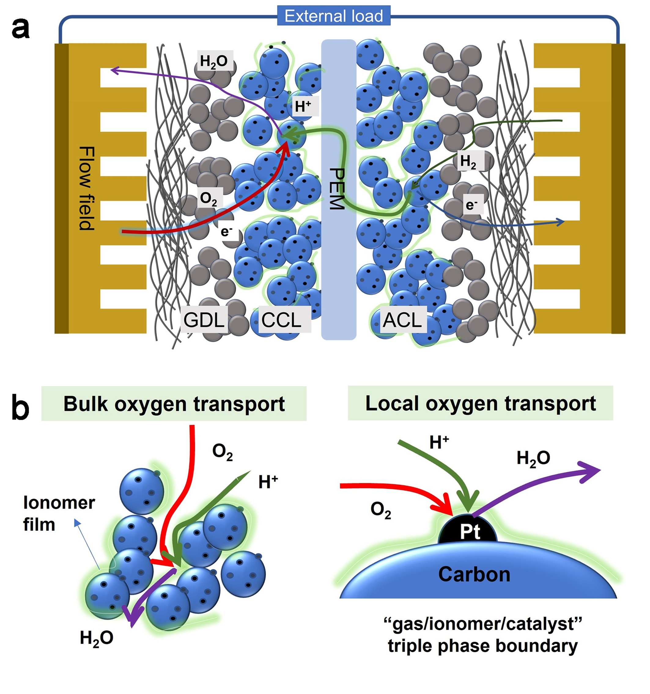 1746525747280963.jpg 图片3.jpg