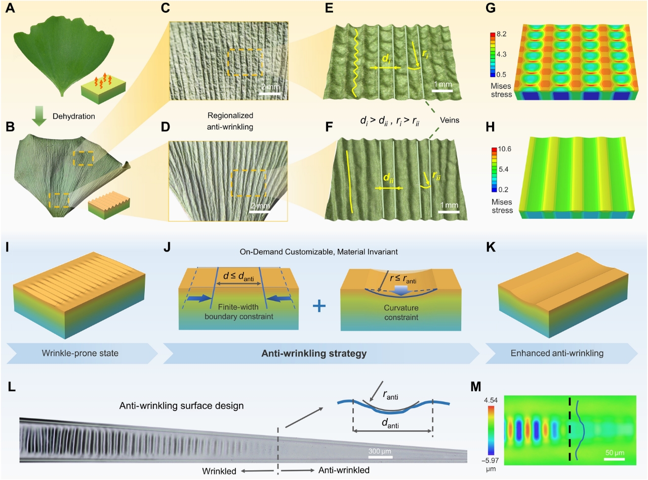 1752053494774937.jpg 1b78c7545cc65aefb9c95a4e218e622a.jpg