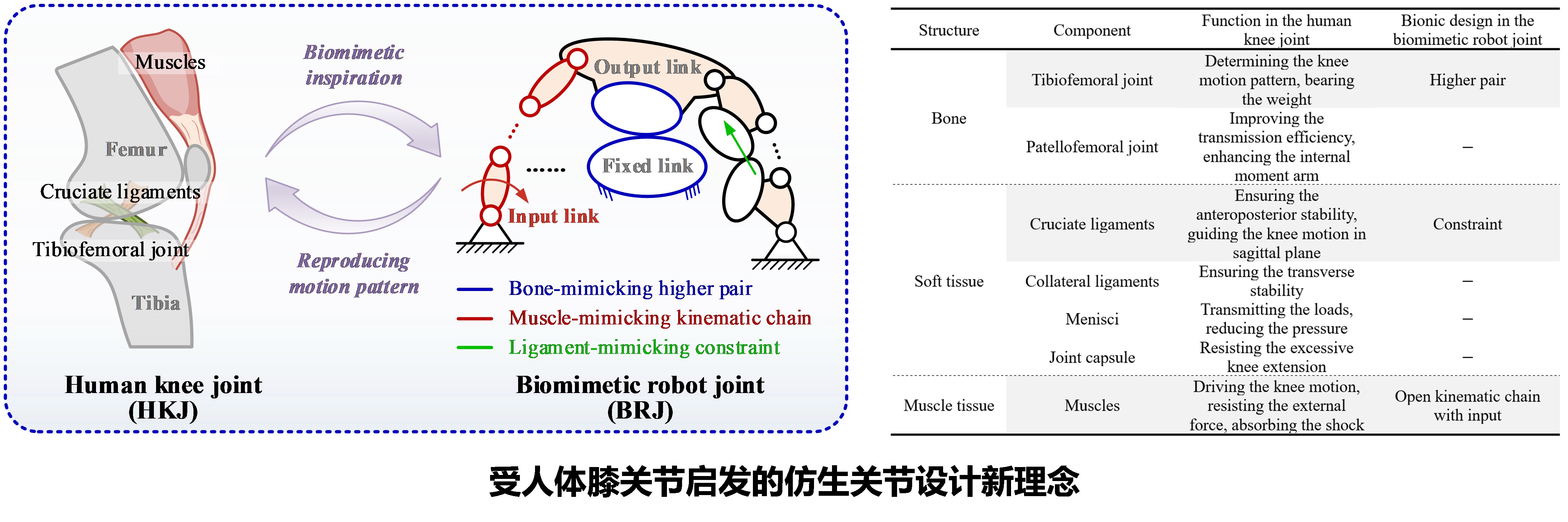1754788418611078.jpg 图片1.jpg
