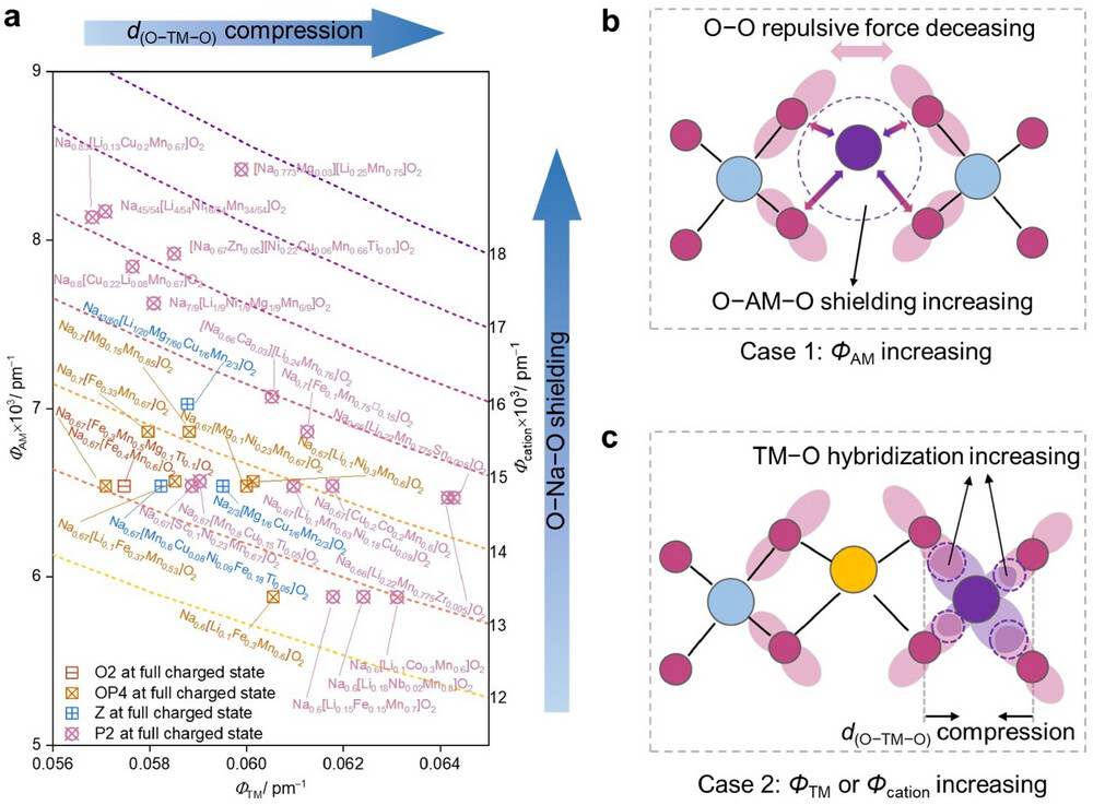 1774001796403261.jpg adma72416-fig-0005-m.jpg
