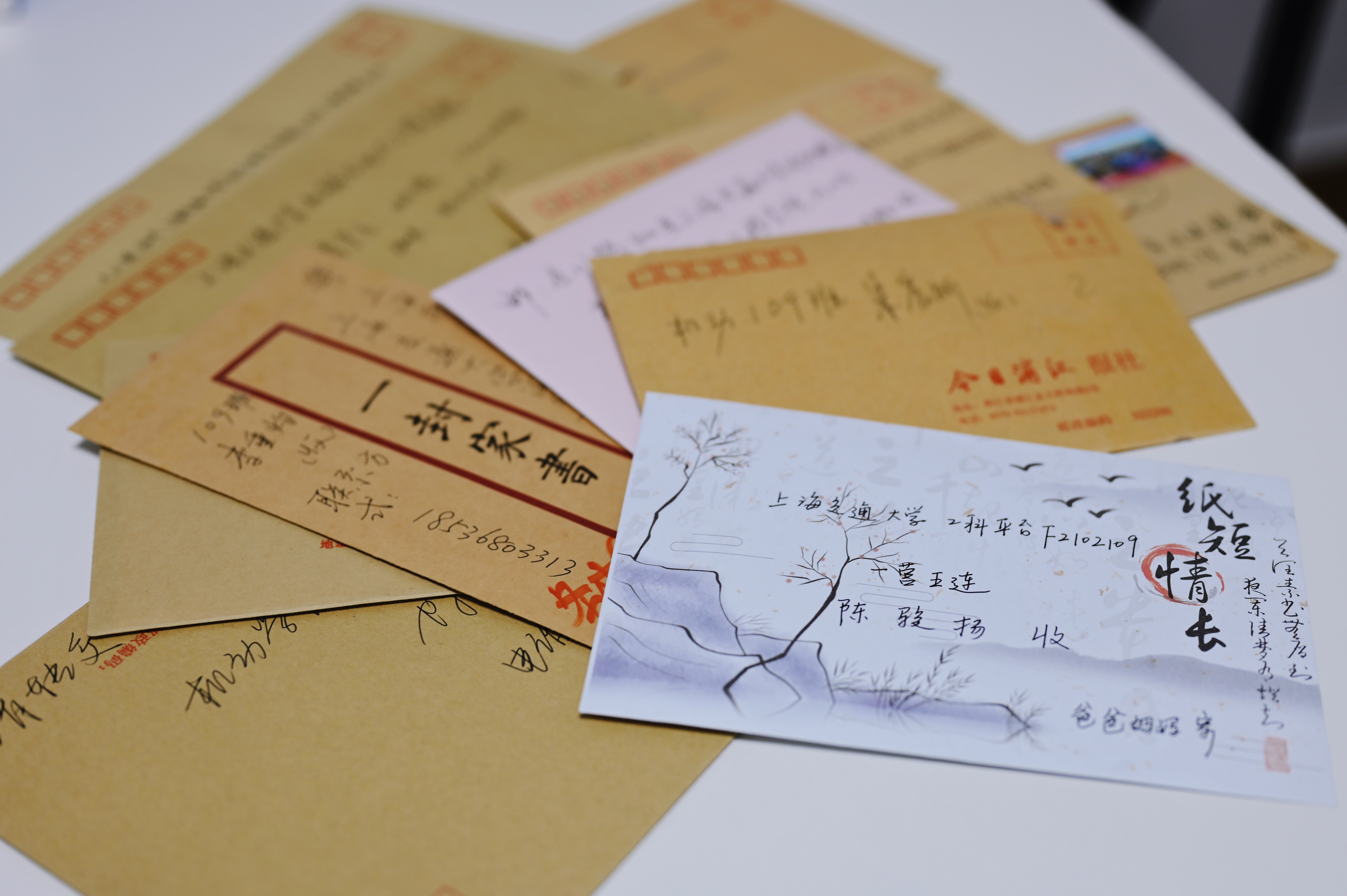 1630752246910027.jpg 1630752246910027.jpg