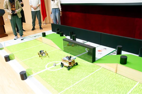 1732537314108877.jpg 9.jpg