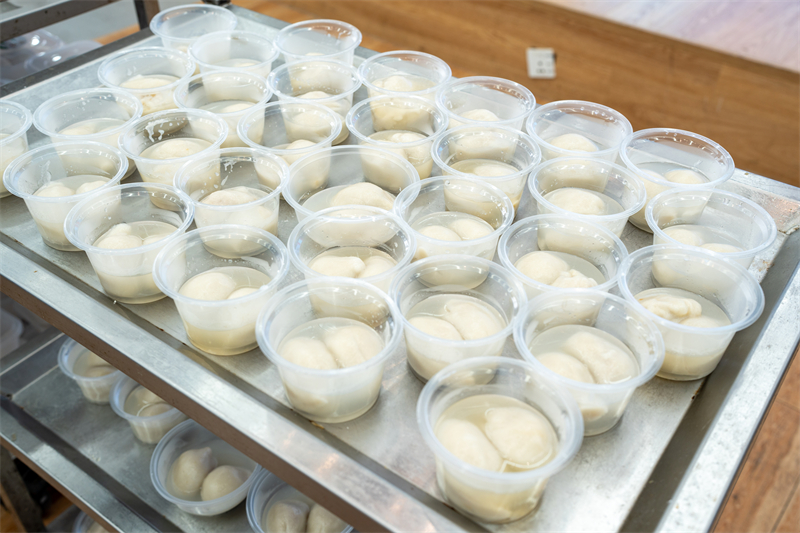 1740307839463118.jpg 图3.jpg