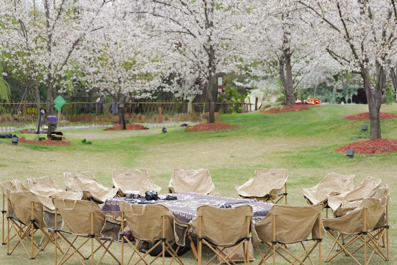 1744525241756588.jpg 图1_resized.jpg