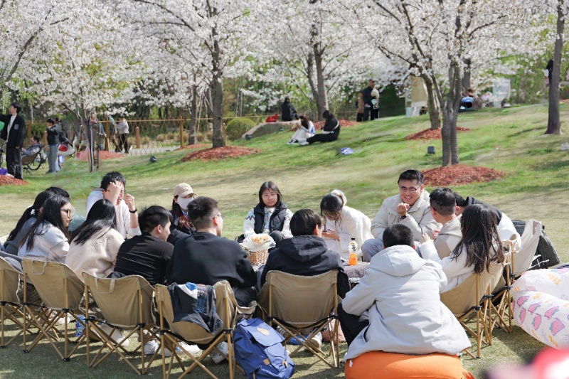 1744525281786383.jpg 图2_resized.jpg