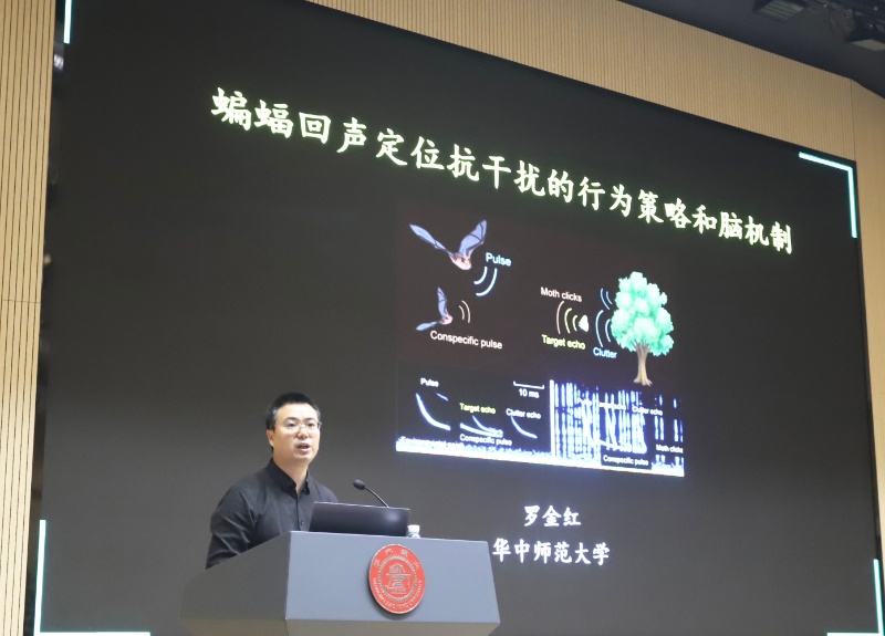 图1 罗金红教授_resized.jpg